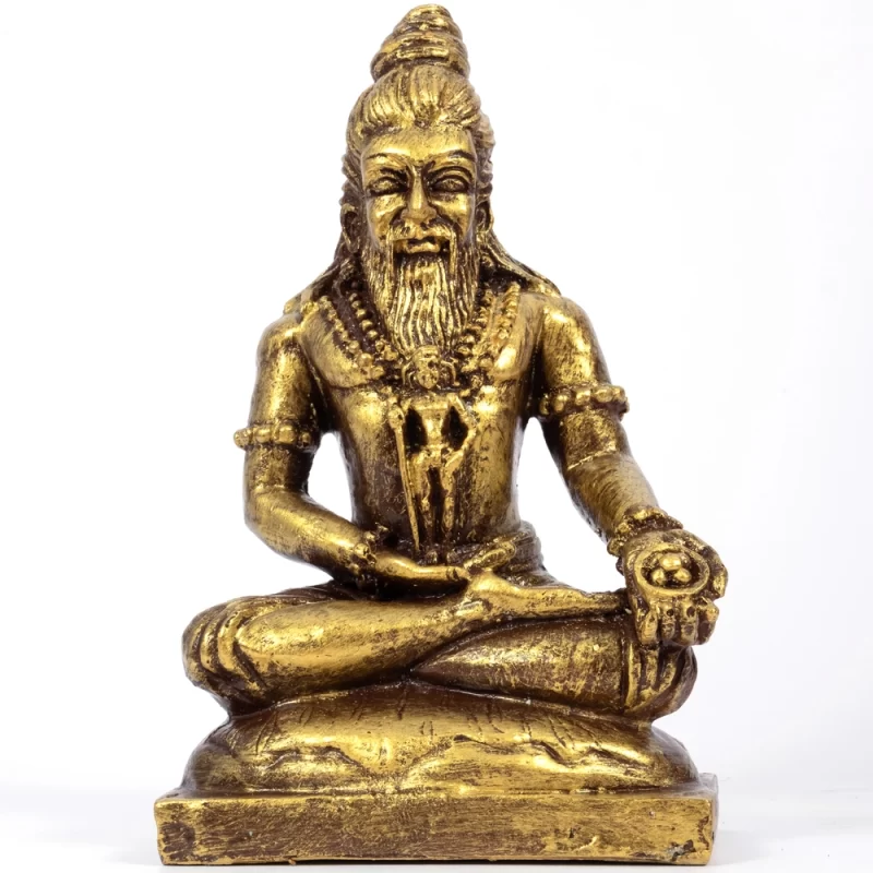 a golden statue of Siddha Bogar gold metallic finish statue with pazhani muruga